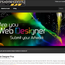 Web Designer Pros